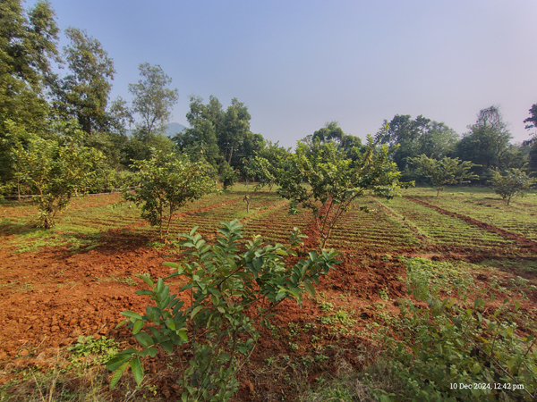 Natural Resouirce Management